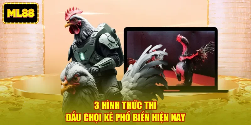 3 hình thức thi đấu chọi kê phổ biến hiện nay