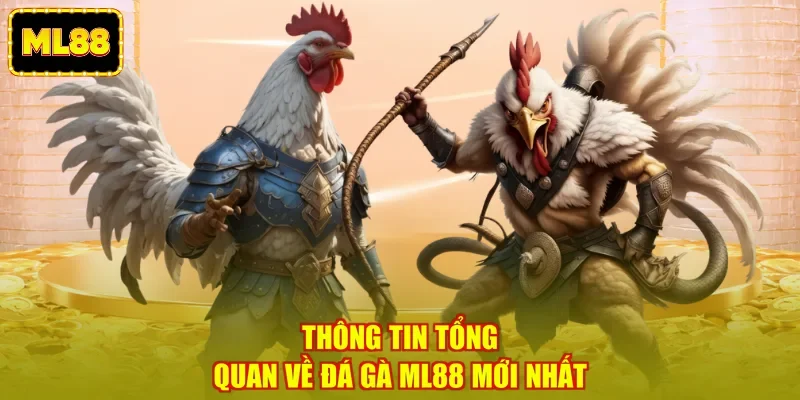 Thông tin tổng quan về đá gà ML88 mới nhất